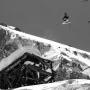 Tim Hartnett Photo 19