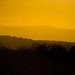 Preston Proctor Photo 7