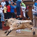 Luis Osborne Photo 11