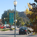 Philip Wilcox Photo 12