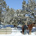 Rebecca Mccoy Photo 14