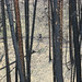 Barry Ketchum Photo 6