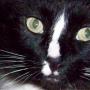 Judy Boyce Photo 27