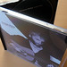 Dominic Case Photo 9