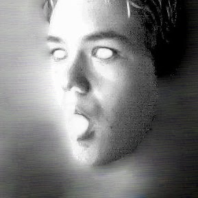 Garrett Webb Photo 33