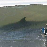 Jeffrey Michels Photo 20