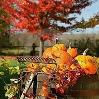 Janice Francis Photo 27
