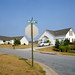 Jim Crow Photo 19