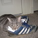 Leroy Gray Photo 7