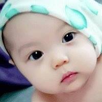 Wilbert Austria Photo 1