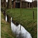 Suzanne Weiland Photo 8