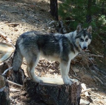 Sandra Cannon Photo 34