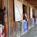 Barbara Horsey Photo 8
