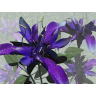 Irene Thomas Photo 33