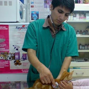 Job Ramirez Photo 7