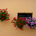 Leonardo Leon Photo 38