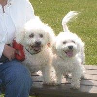 Diane Rodgers Photo 6
