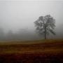 Linda Hendricks Photo 28