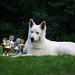 Dawn Berger Photo 18