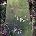 Elizabeth Law Photo 19