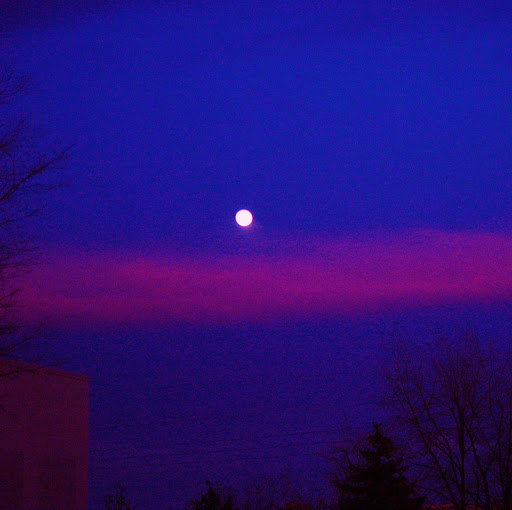 Duane Elliott Photo 14