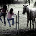 Gracie Garcia Photo 12
