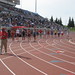 Steven Mccarty Photo 39