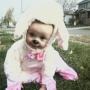 Joshua Workman Photo 33