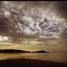Darrell Moody Photo 10