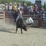 Rolando Chavez Photo 31