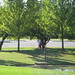 Kathy Wilkins Photo 16