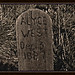 Alyce Hill Photo 10