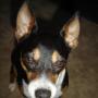 Kimberly Barney Photo 17