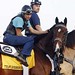 Jeff Logsdon Photo 9