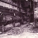 James Rine Photo 16