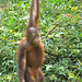 Jane Evans Photo 21