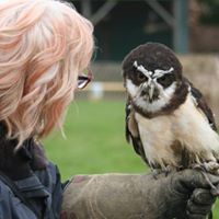 Patricia Broadhead Photo 4