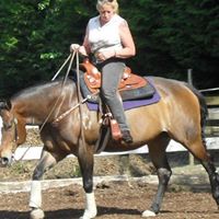 Carol Lemay Photo 11