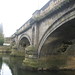Mary Bridges Photo 34