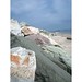 Donna Ackerman Photo 23