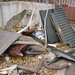 Doug Jenkins Photo 5