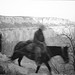Kenneth Nelson Photo 38