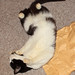 Aimee Sharp Photo 17