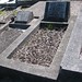 Irene Thomas Photo 14