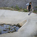 Jason Crowell Photo 36