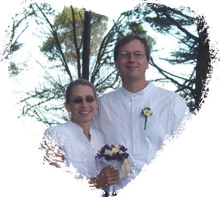 Julie Sauer Photo 16