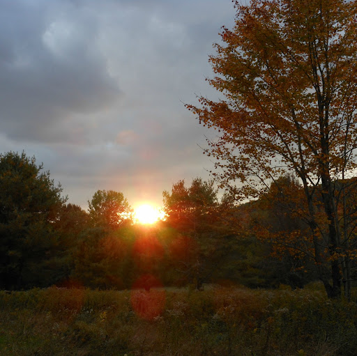 Timothy Potter Photo 25