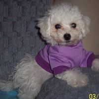 Betty Vaughn Photo 22