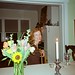 Ann Merrill Photo 23
