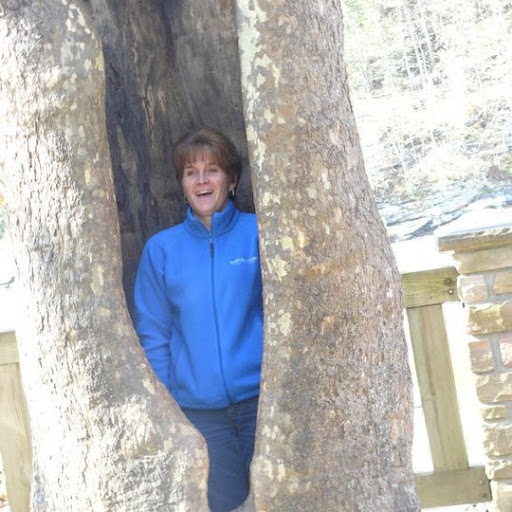 Sherry Phillips Photo 17